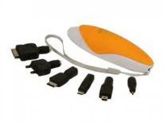 Multi pin Power Bank